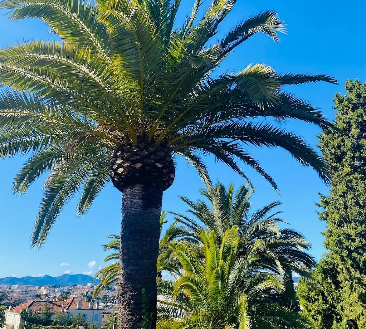 Dernier Etage-Piscine-Tennis-2 Terrasses-Garage-Wifi Cannes 0*,